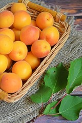 Naklejka na ściany i meble Ripe,sweet apricots on a wooden background.Healthy fruit.