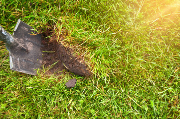 garden tools shovel stuck in the ground on the green grass with sunlight side view
