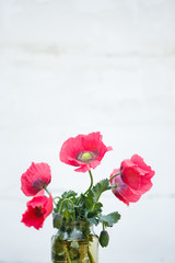 Obraz premium Pink opium poppy on a white background. Poppies and poppy heads in a vase on a white background, the concept of addiction, sadness, death, heroin, opium, straws, poppy seeds