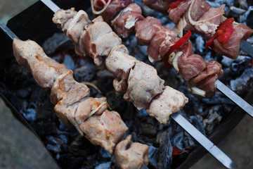  Barbecue blank, meat strung on a skewer, lies on the grill