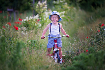 Happy beautiful toddler child, holding bouquet of wild flowers , riding retro tricycle