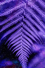 Beautyful purple ferns leaves background