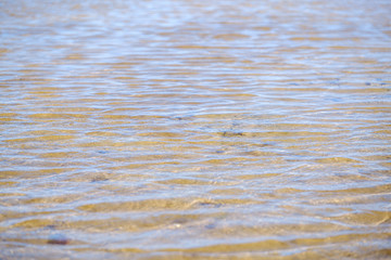 small wave water texture in the sea