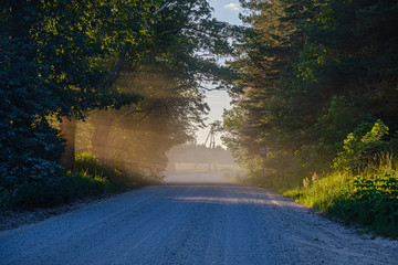 sun rays in summer evening on a country gravel road enclosed with large trees and dust in the air