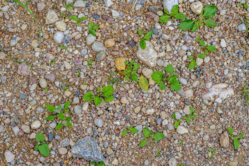 gravel dirt road texture with sand and pebbles