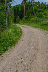 Obraz premium romantic gravel dirt road in countryside in summer green evening