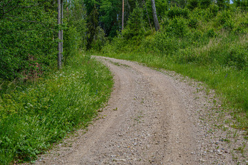 romantic gravel dirt road in countryside in summer green evening