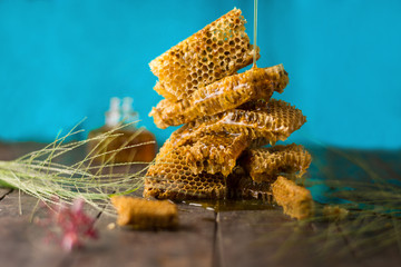 panal de miel  de abejas en una mesa de madera