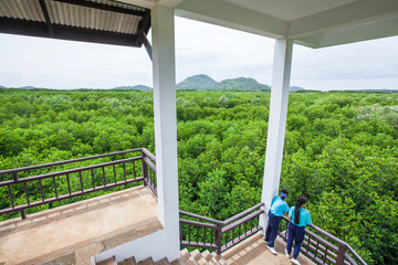 Two asian primary school girls relaxing on the forest tower.