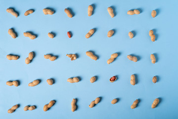 Peanuts flat lay minimal on blue background backdrop food nut texture copy space top view