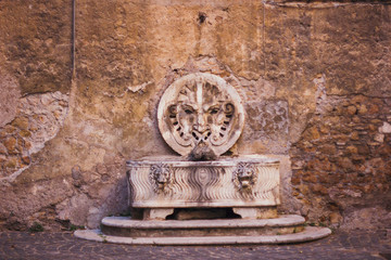 Italy, Rome, street, travel, old town, building, plant,  sculpture, street food, culture