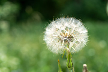 Wandern um Böttingen / Alter Schäferweg /Heuberg