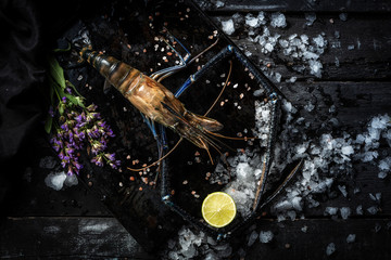 Sea delicacies. Fresh seafood. Scampia.