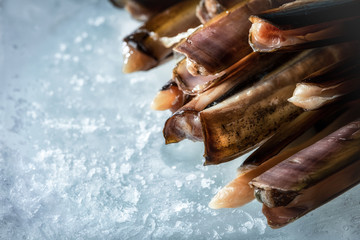 Sea delicacies. Fresh seafood. Sea finger © Voloshyn Roman