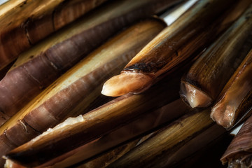 Sea delicacies. Fresh seafood. Sea finger © Voloshyn Roman