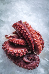 Sea delicacies. Fresh seafood. Octopus tentacles on ice.