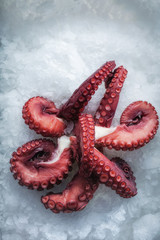 Sea delicacies. Fresh seafood. Octopus tentacles on ice.