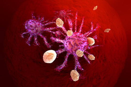 T-Cells Of The Immune System Attacking Growing Cancer Cells