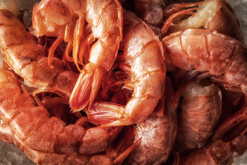 Sea delicacies. Fresh seafood. Shrimp on ice.