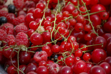 Obraz na płótnie Canvas background of ripe juicy berries of red currants, raspberries and cherries. Close-up plan view from above.