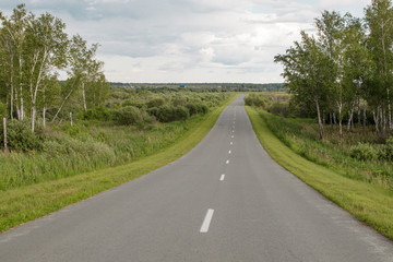 A rural road between forests and fields to a small Siberian village.
