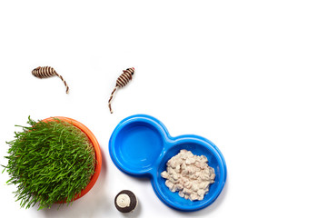 Flat lay composition with accessories for a cat isolated on white background. Pet care.