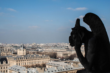 Vista de Paris desde la catedral de Notre Dame con una gárgola