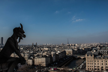 Vistas de Paris desde la catedral de Notre Dame