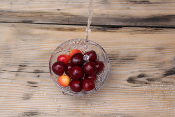 Fototapete bei efototapeten.de bestellen   