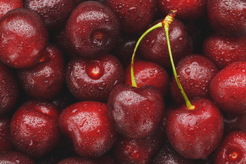 Ripe and fresh berries of a sweet cherry with water drops closeup.