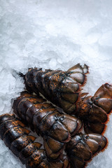 Sea delicacies. Lobster tails on ice.