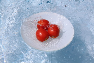 Fototapete bei efototapeten.de bestellen   