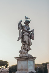 Obraz premium Italy, Rome, street, travel, old town, sculpture, culture, gull