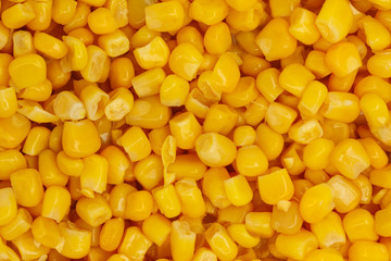 Yellow corn seeds background seamless texture close up