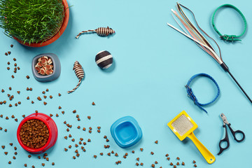 Flat lay composition with accessories for a cat on a blue background. Pet care.