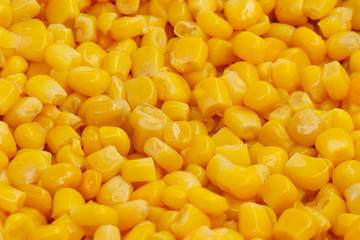 Yellow corn seeds background seamless texture close up