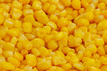Yellow corn seeds background seamless texture close up