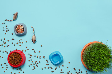 Flat lay composition with accessories for a cat on a blue background. Pet care.