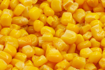 Yellow corn seeds background seamless texture close up