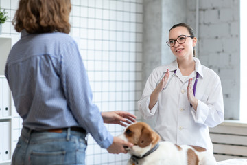 The veterinarian and the client with the dog to discuss the treatment in a veterinary clinic.