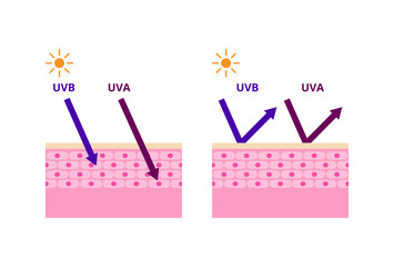 UVA and UVB radiation types, sun protection vector illustration