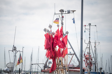 Fehmarn im Sommer, Hafen von Burgstaaken