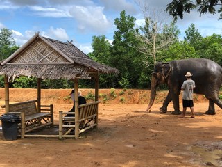 Phuket