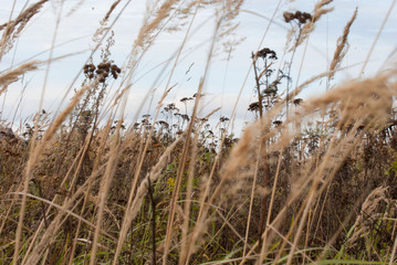 Obraz premium SONY DSC