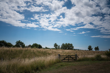 Fehmarn im Sommer, Ostseeromantik, Leuchtturm und Natur