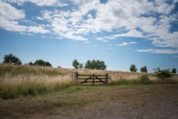 Fehmarn im Sommer, Ostseeromantik, Leuchtturm und Natur