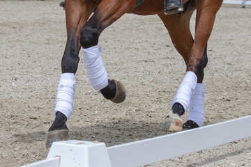 verbundene Pferdebeine