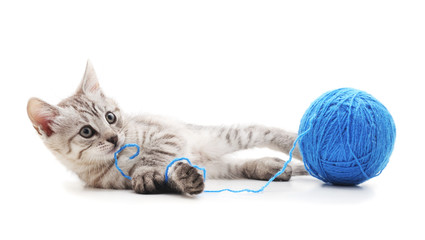 Gray cat with a ball. © ANASTASIIA