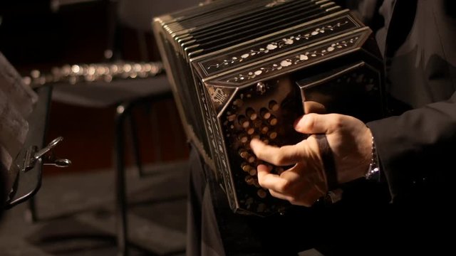 A Bandoneon accordion player is playing at a tango music show.