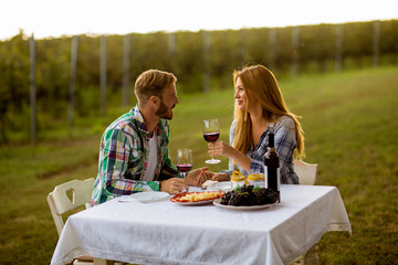 Couple having dinner vineyard
